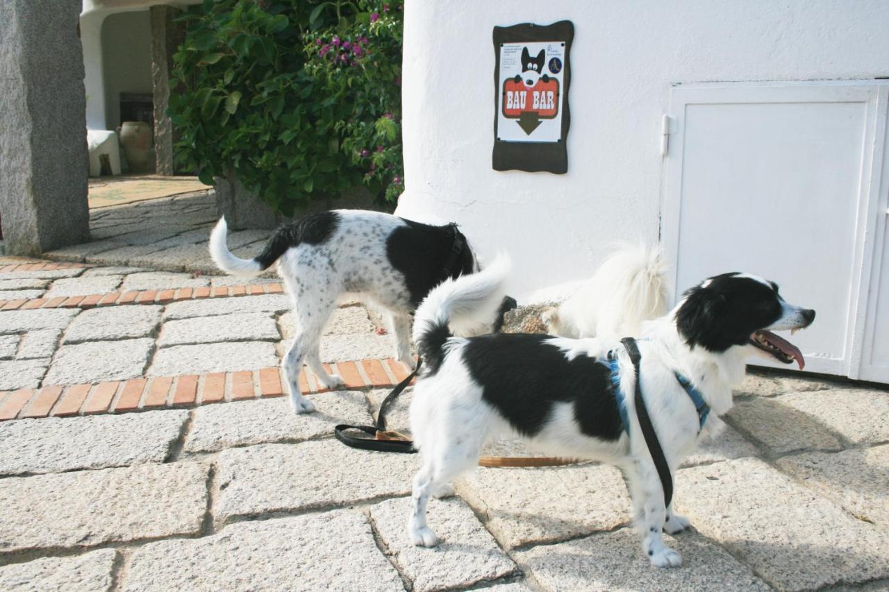 Hotel Luci Di La Muntagna Porto Cervo Dış mekan fotoğraf